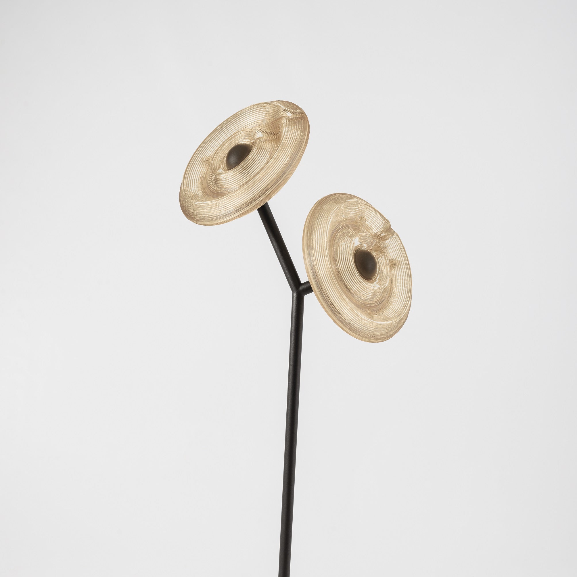 Dirk van der Kooij - Sunflower V