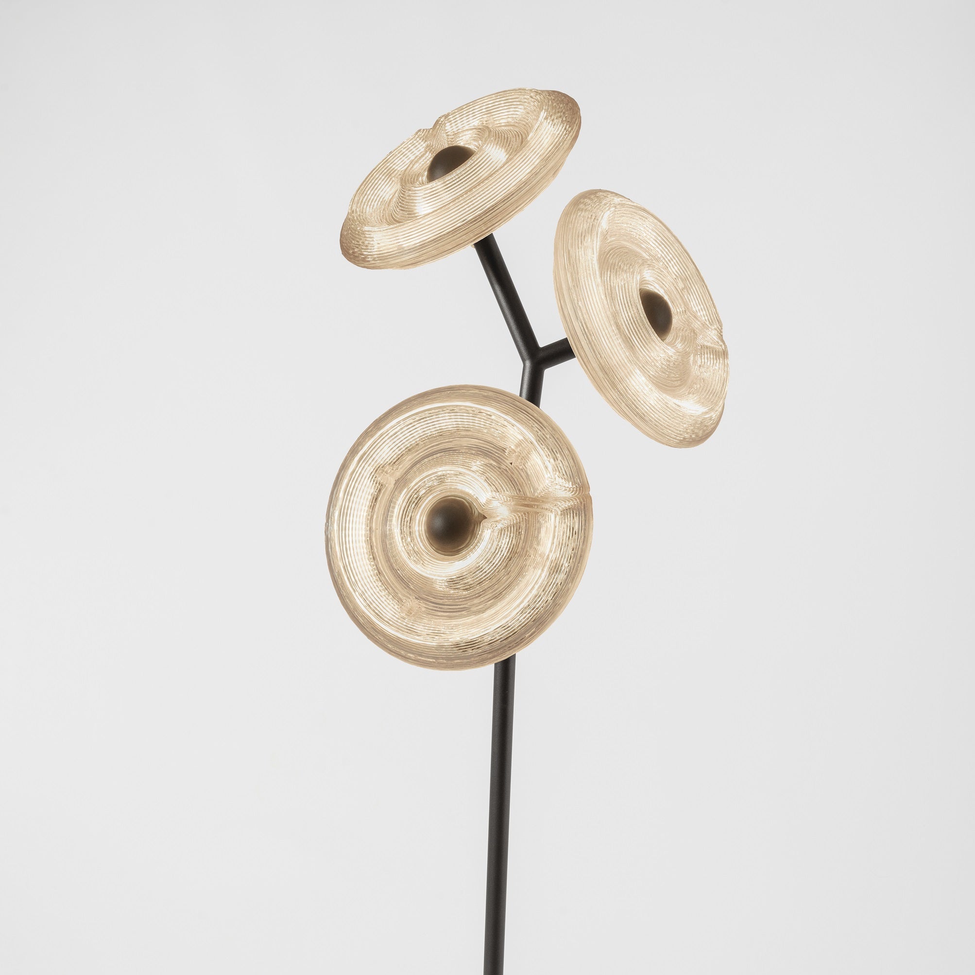 Dirk van der Kooij - Sunflower Y