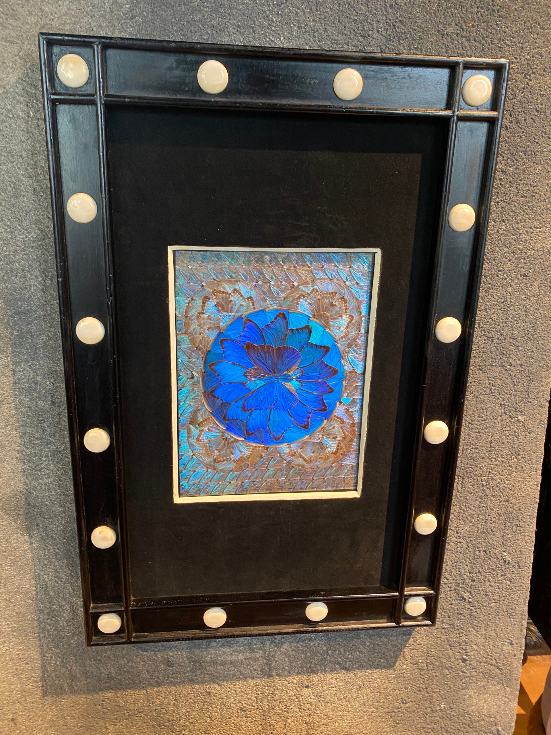 Vlinders in zwart-witte lijst