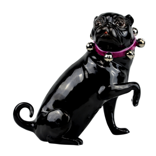 Pug Audrey met rode halsband