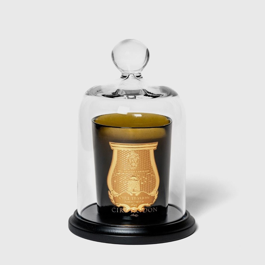 Stolp Geurkaarsen Trudon