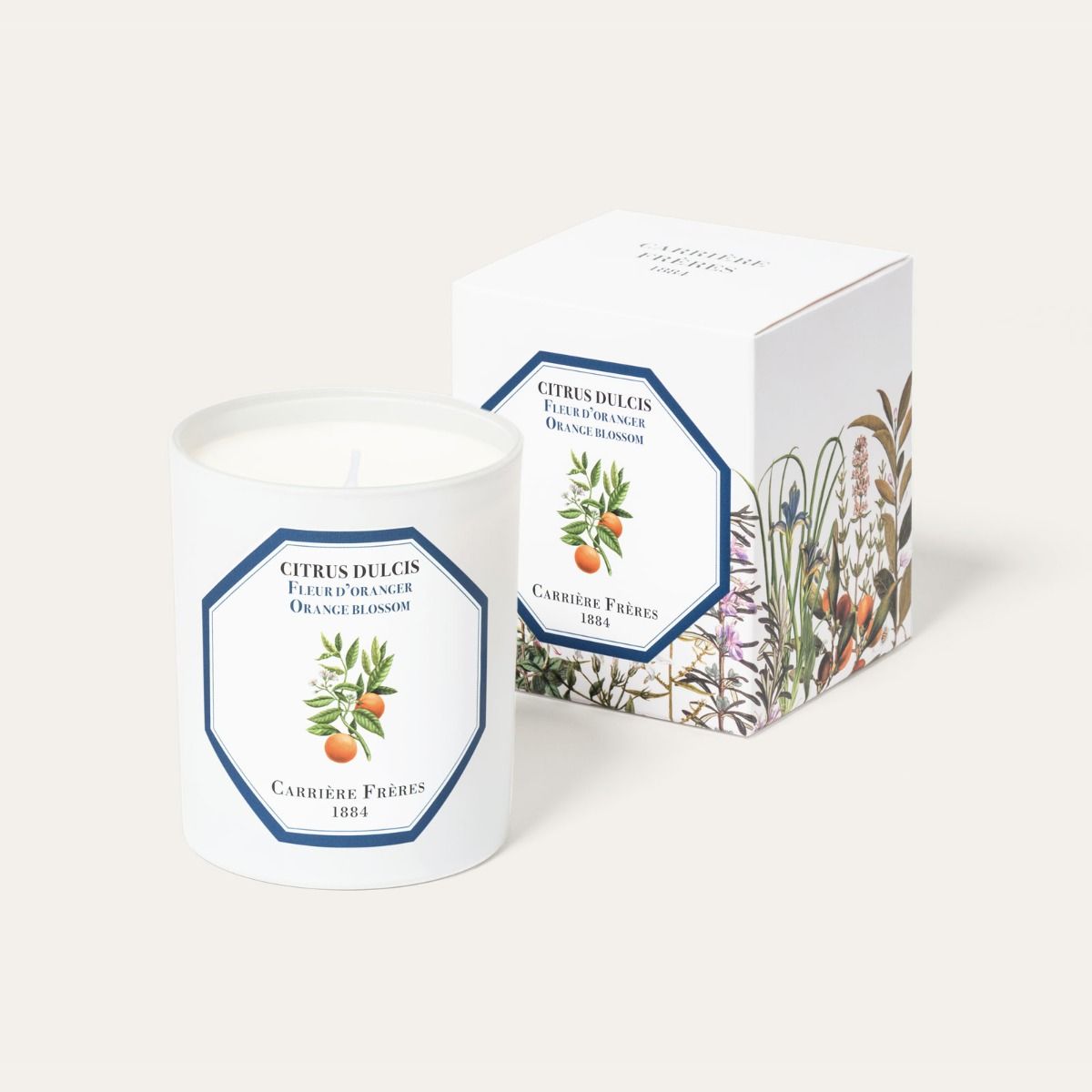 Citrus Dulcis (Orange Blossom)