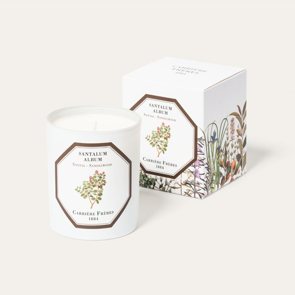 Santalum Album (Sandelwood)
