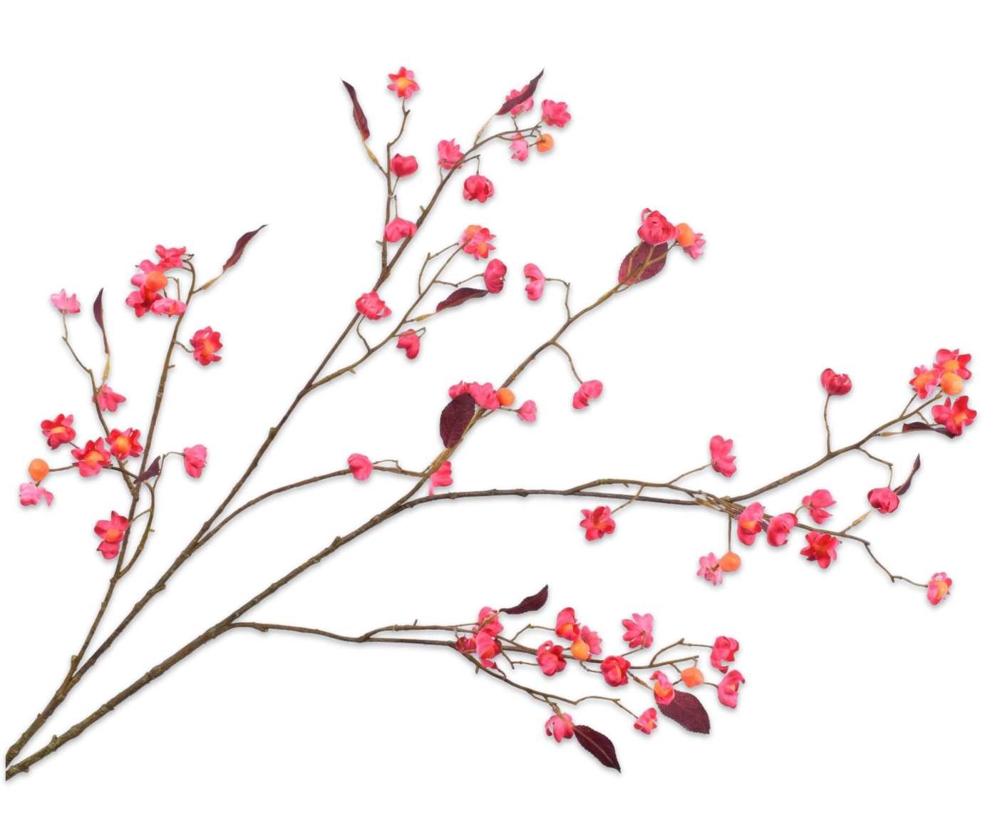 Bessentak 122cm (Beauty)