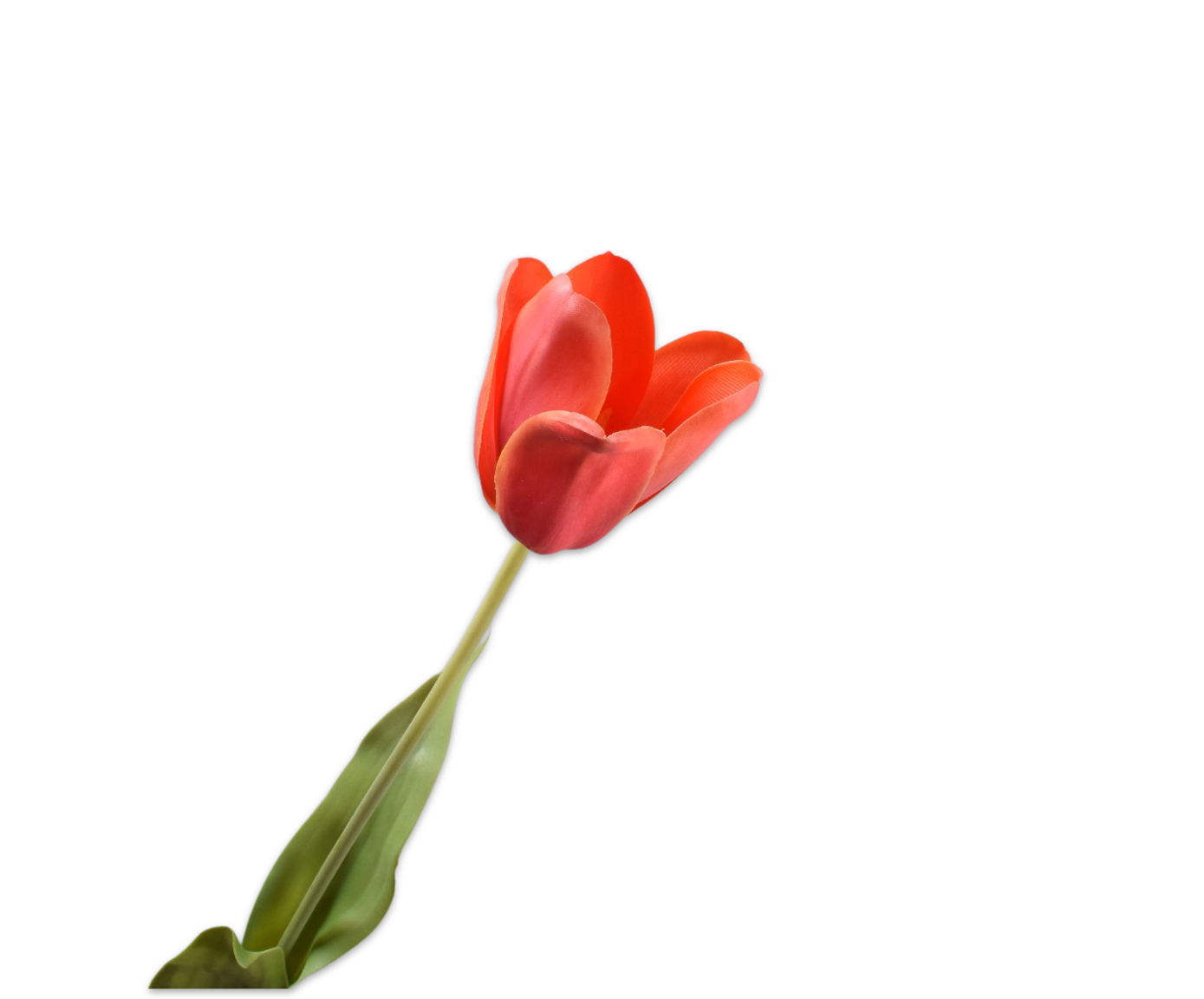 Tulp Steel Real Touch 71cm (Light Orange)