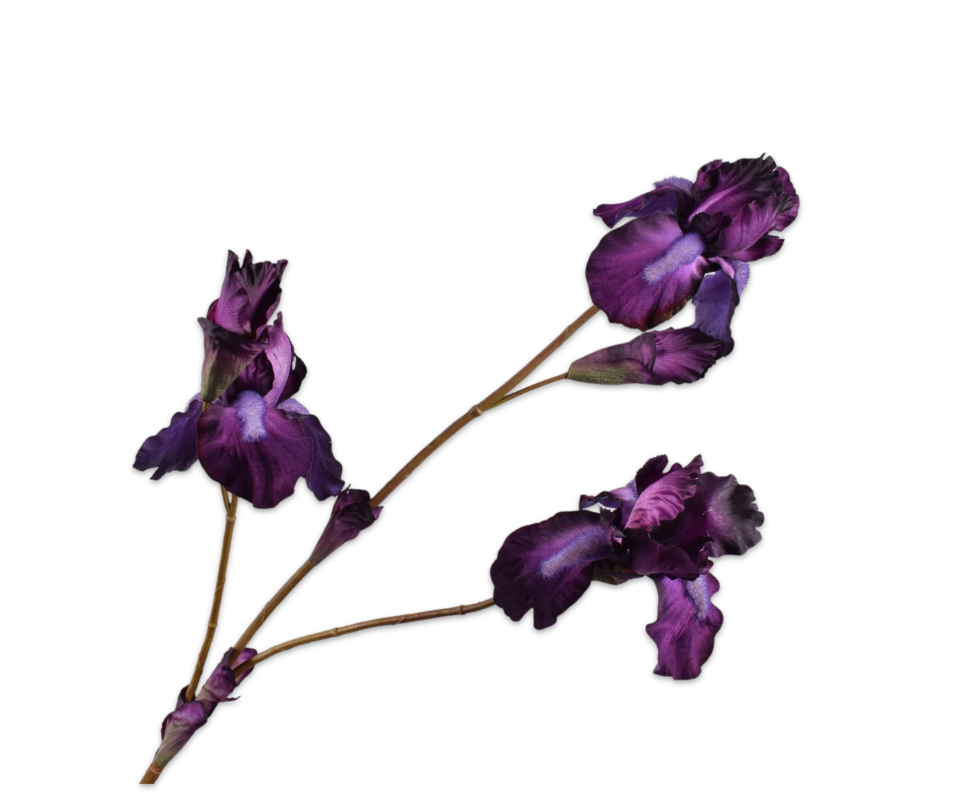 Iris Tak 102cm (Paars)