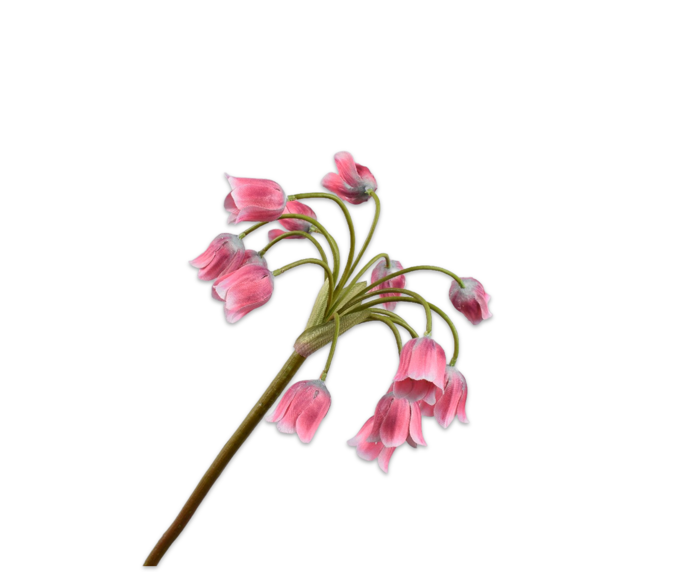 Fritillaria Steel 68cm (Roze)