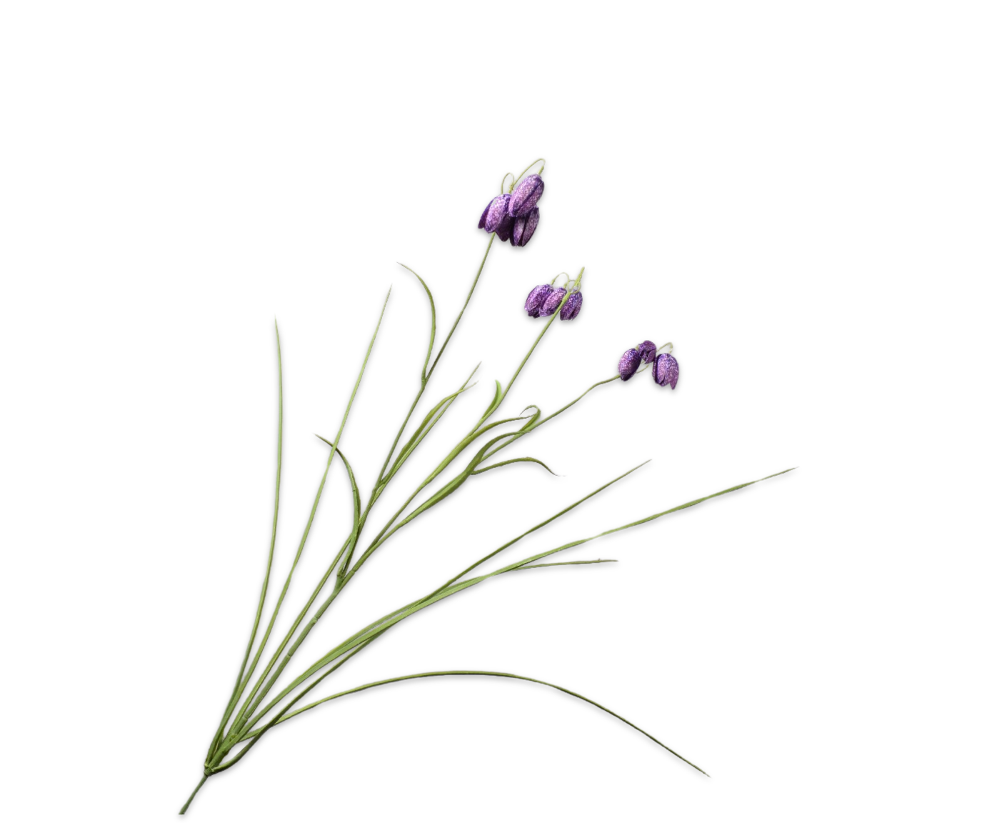 Fritillaria Tak 71cm (Paars)