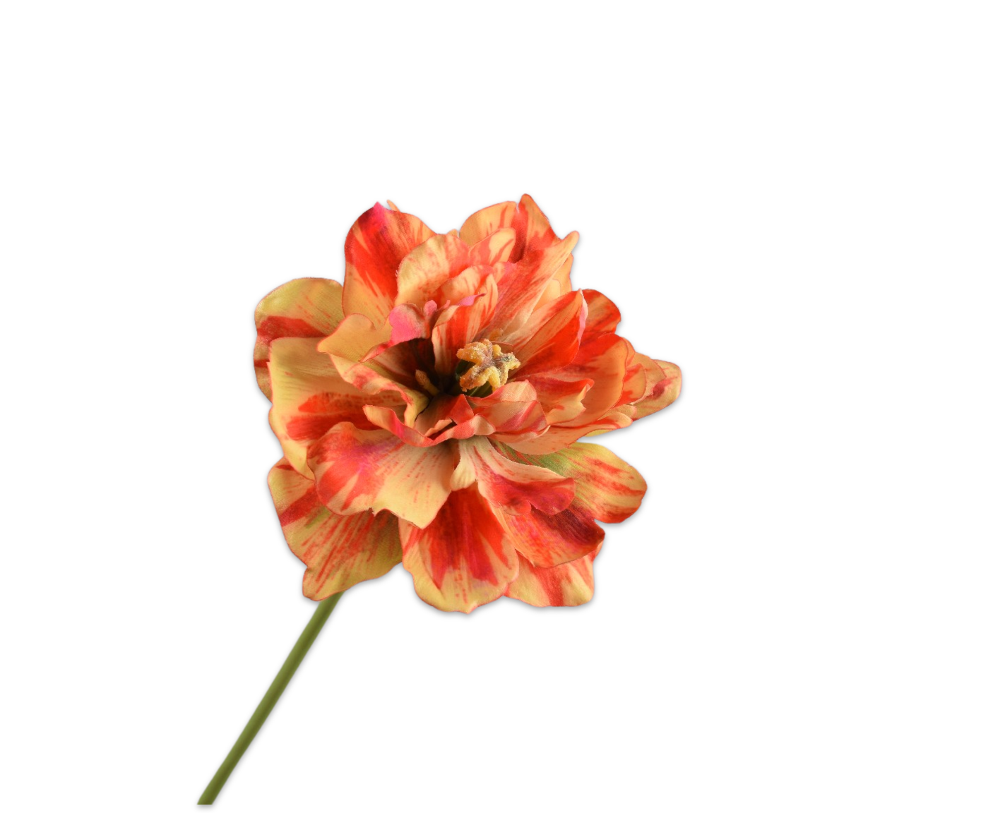 Tulp Steel 69cm (Rood/Geel)