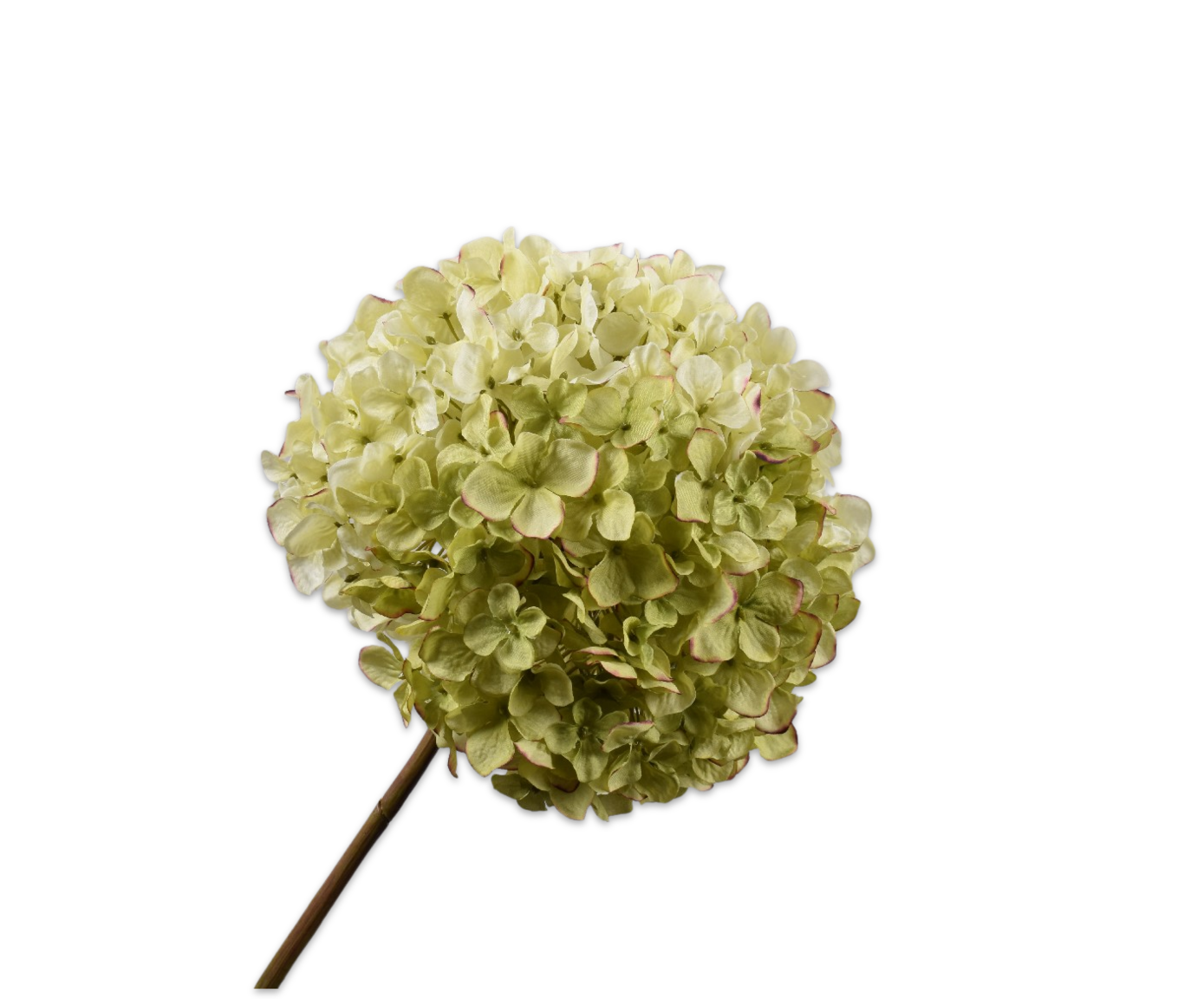 Hortensia Tak 79cm (Groen Roze)