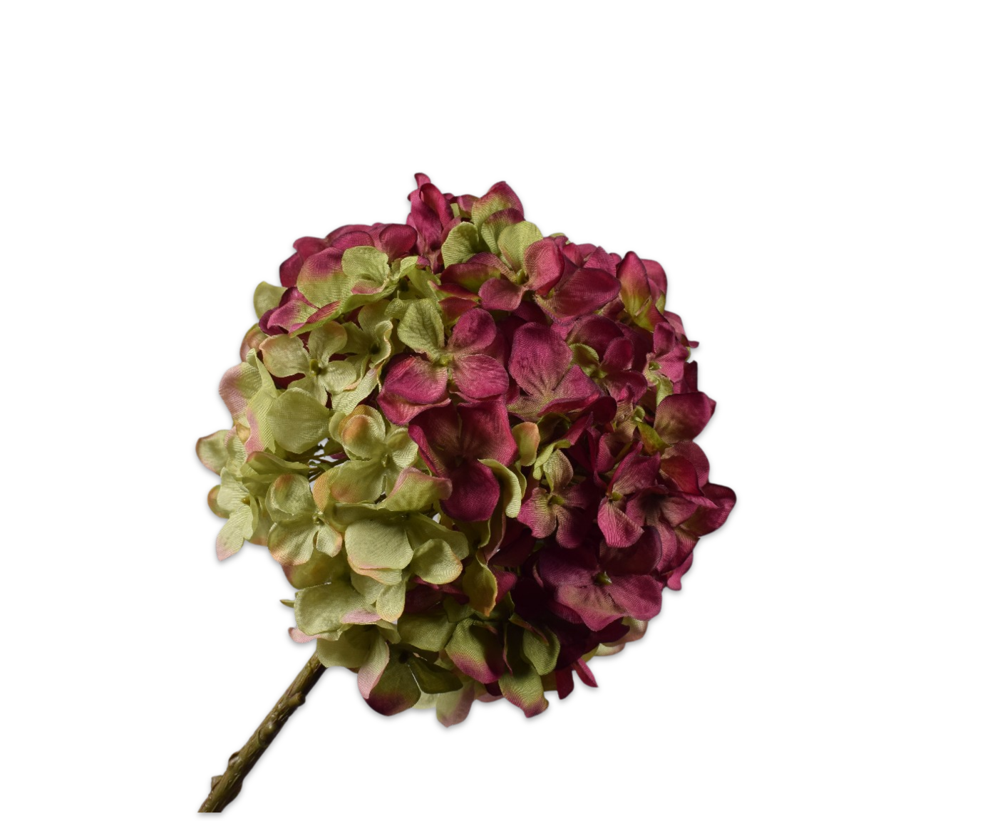 Hortensia Tak 70cm (Bordeaux Groen)