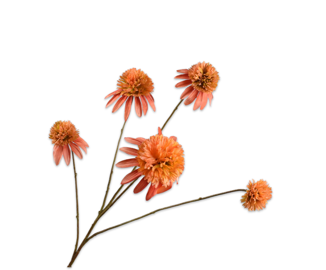 Rudbeckia Tak 90cm (Zalm)