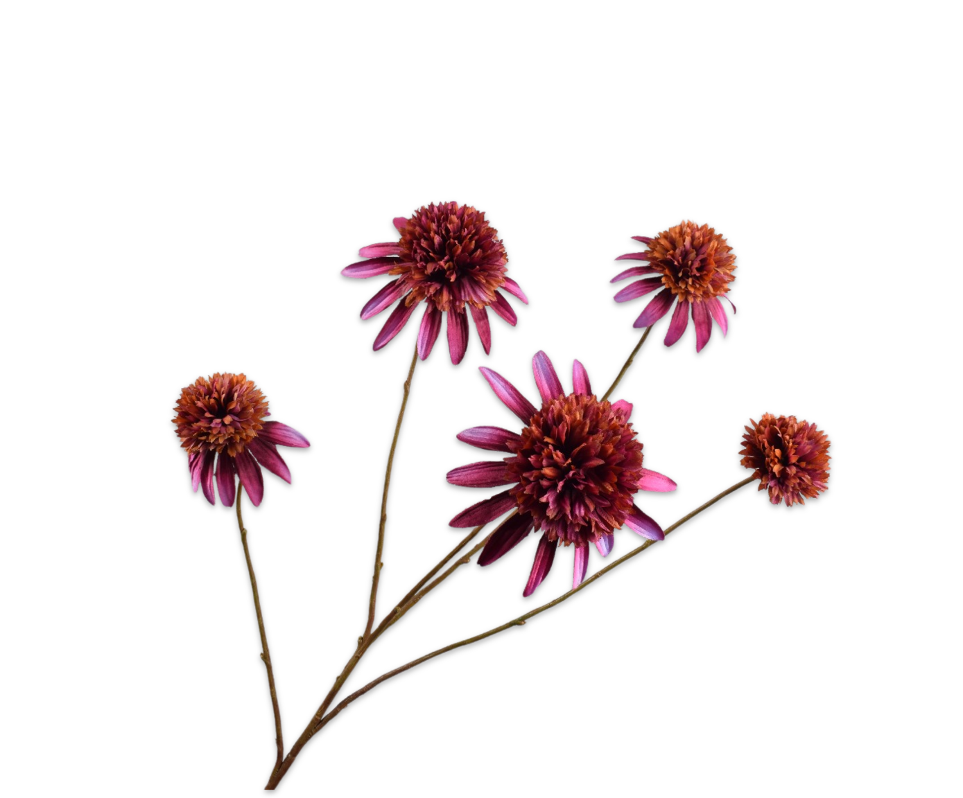 Rudbeckia Tak 90cm (Paars)