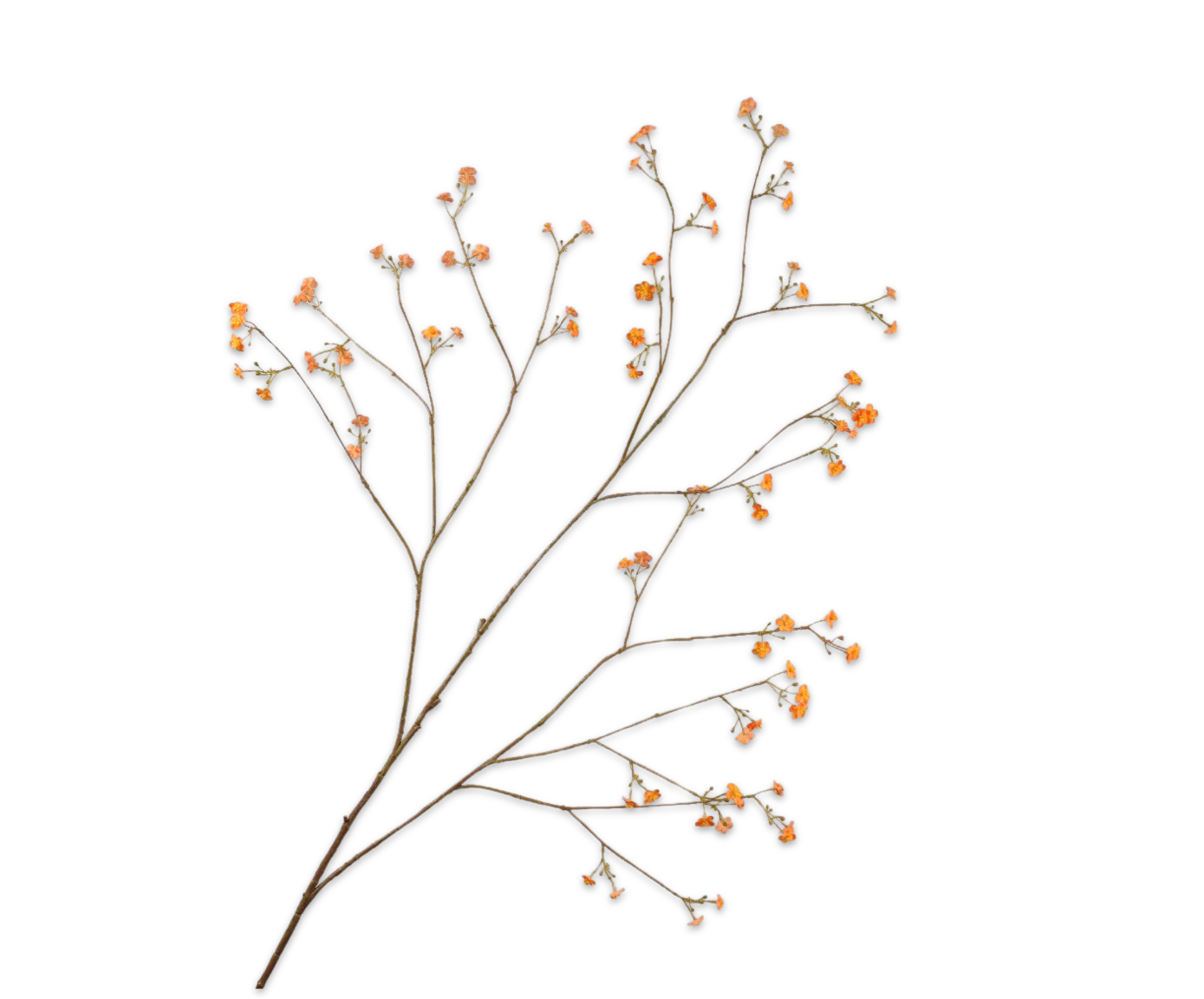 Vergeetmeniet Tak 132cm (Oranje)