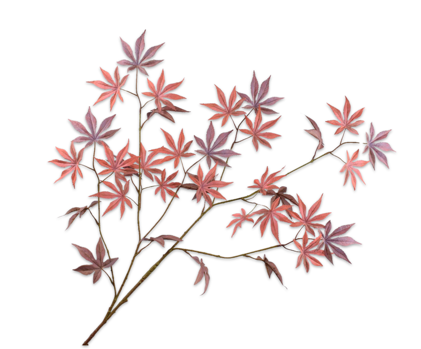 BLADTAK RD/BRD 128 cm