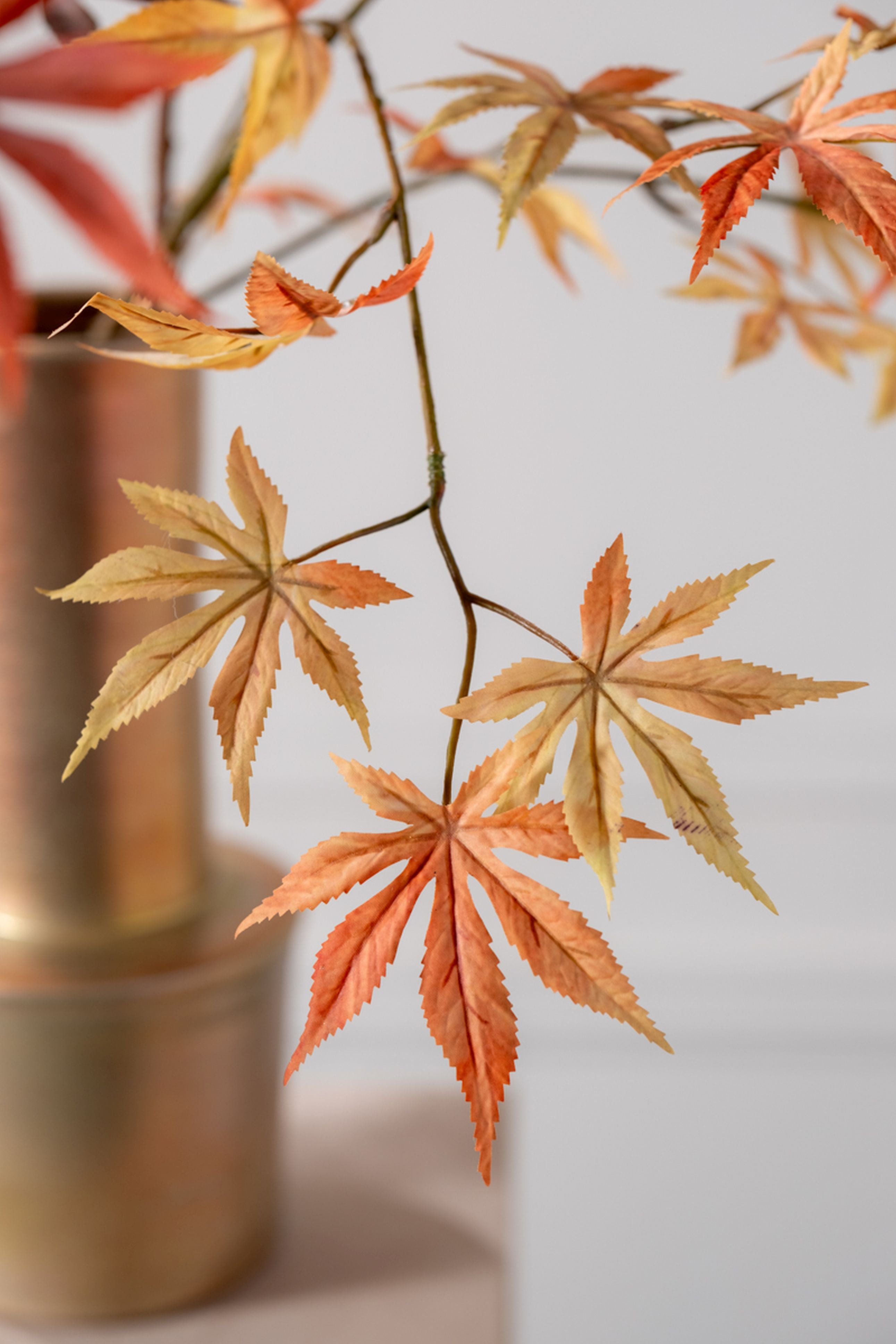 BLADTAK PZK/GL 128 cm