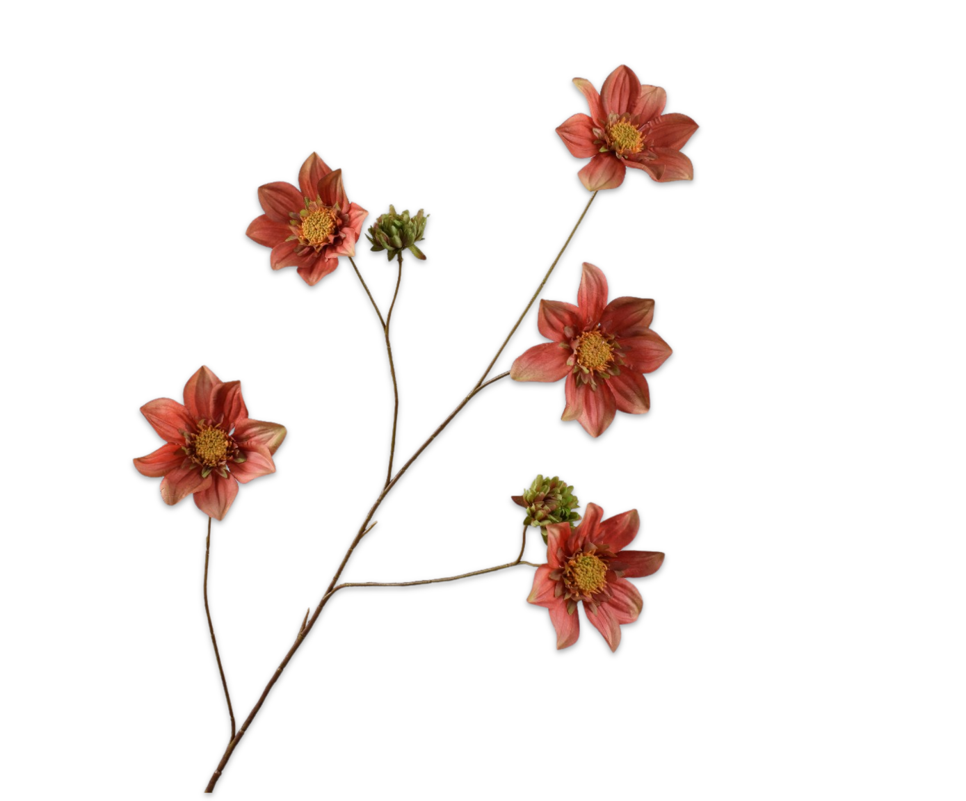 Dahlia Tak 107cm (Bruin Groen)