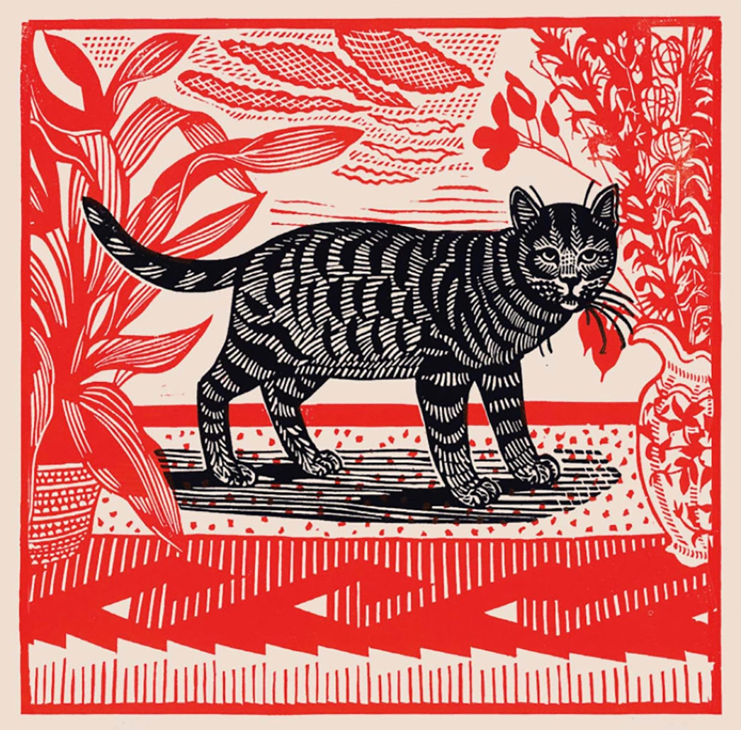 Sasha The Cat Matches