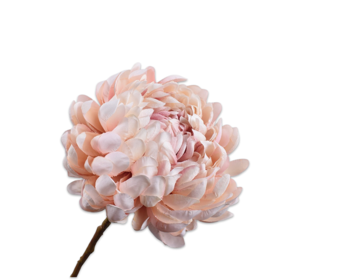 Chrysant Tak 64cm (Lichtroze)