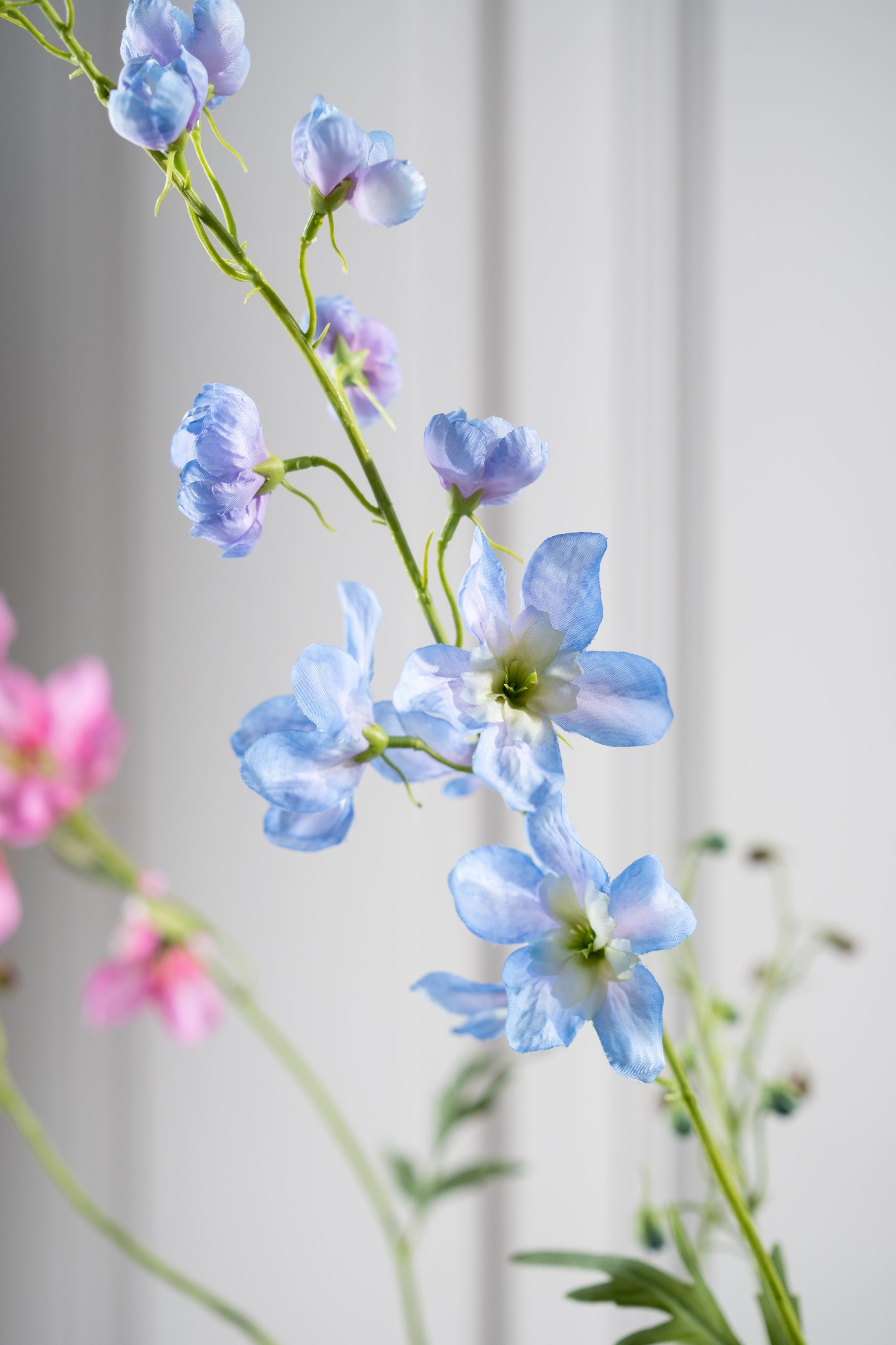 Delphinium Tak 101cm (Licht Blauw)