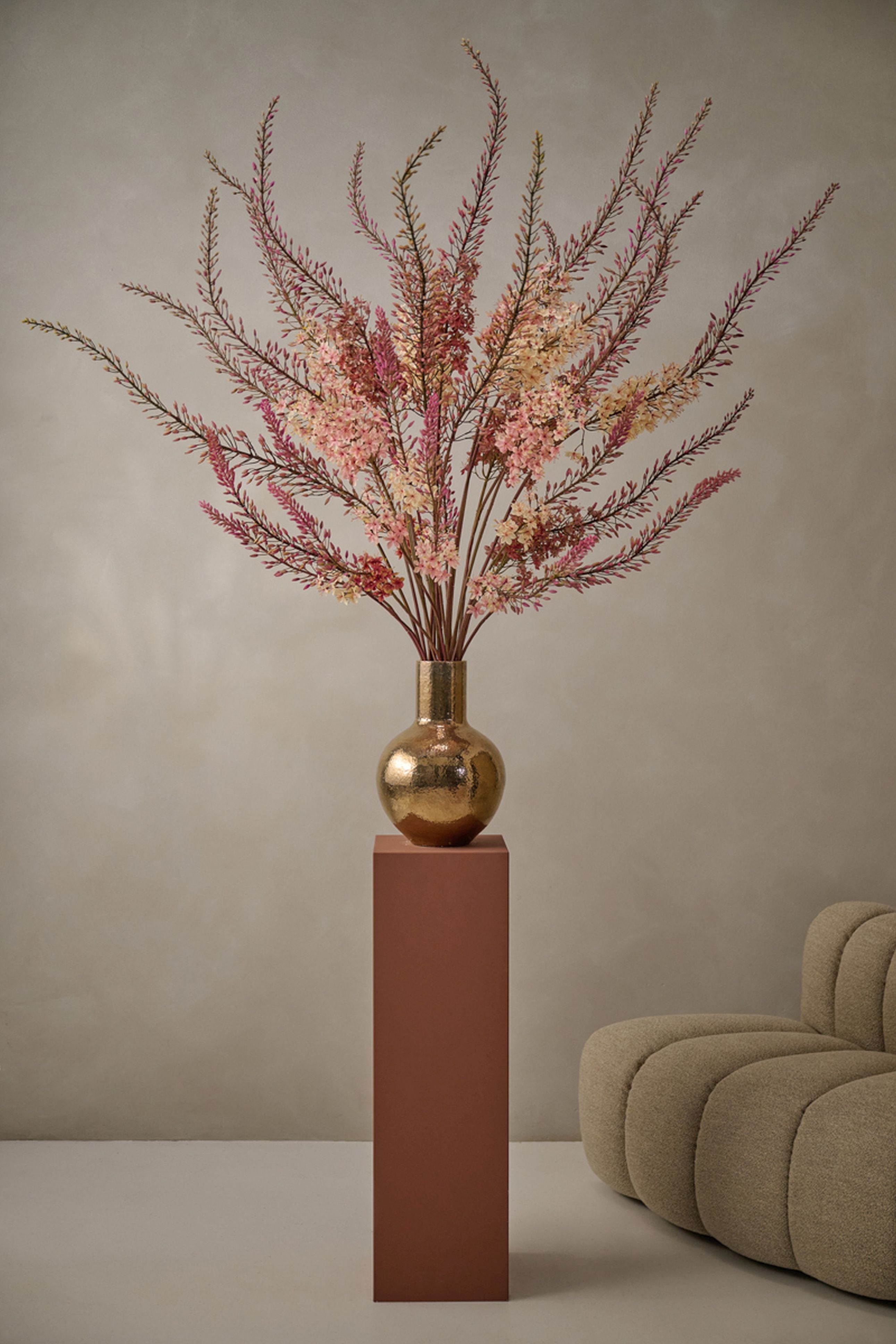 Eremurus Steel 161cm (Creme)