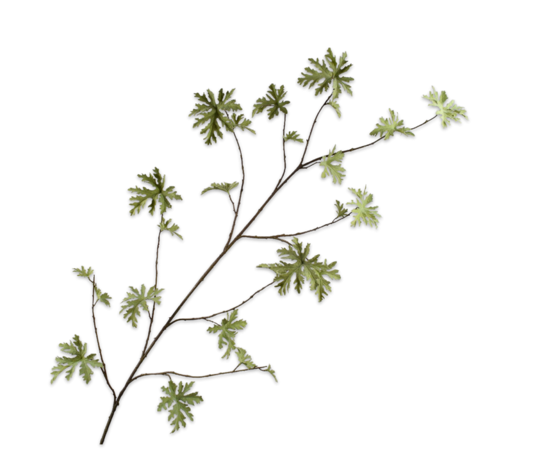 Geranium Tak 164cm (Groen)