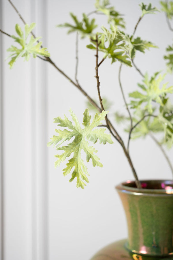 Geranium Tak 164cm (Groen)