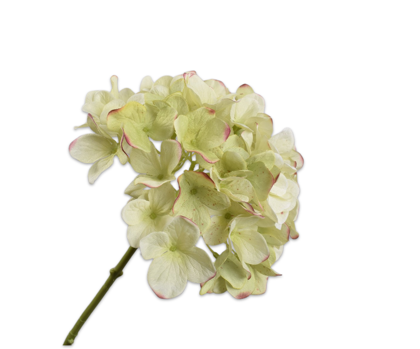 Hortensia Steel 48cm (Groen/Bordeaux)