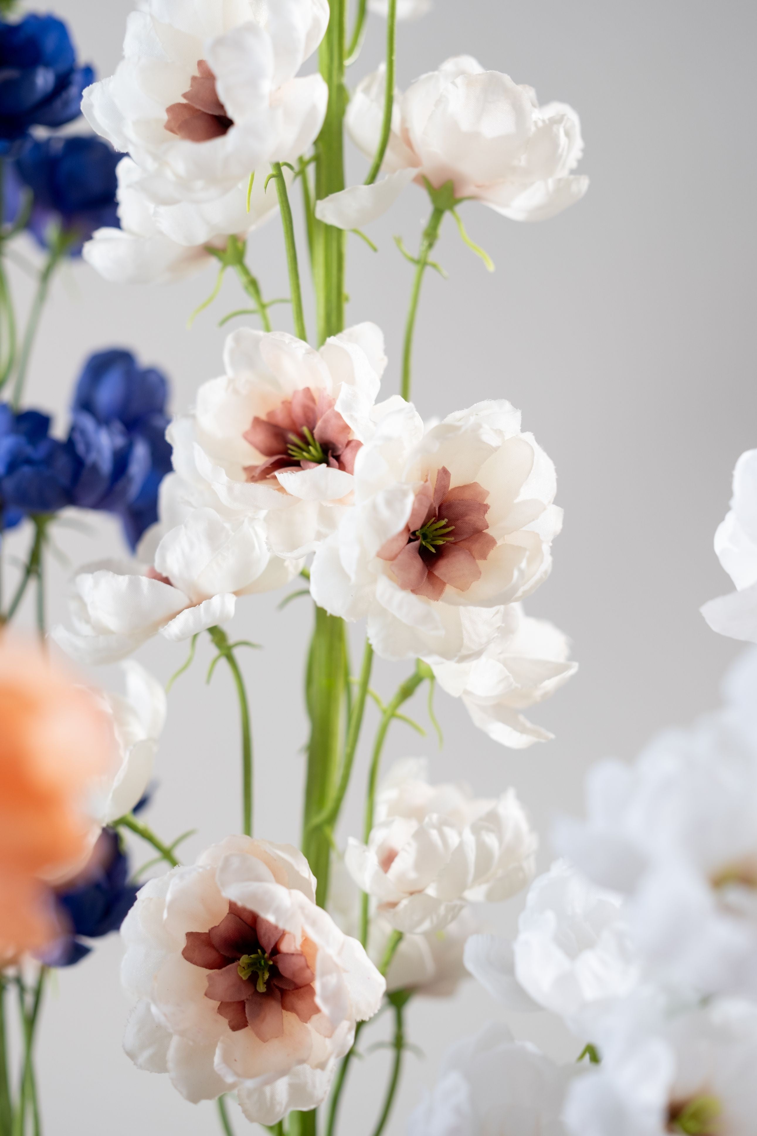 Delphinium Steel 127cm (Creme)