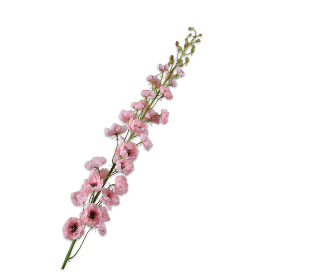 Delphinium Steel 127cm (Roze)