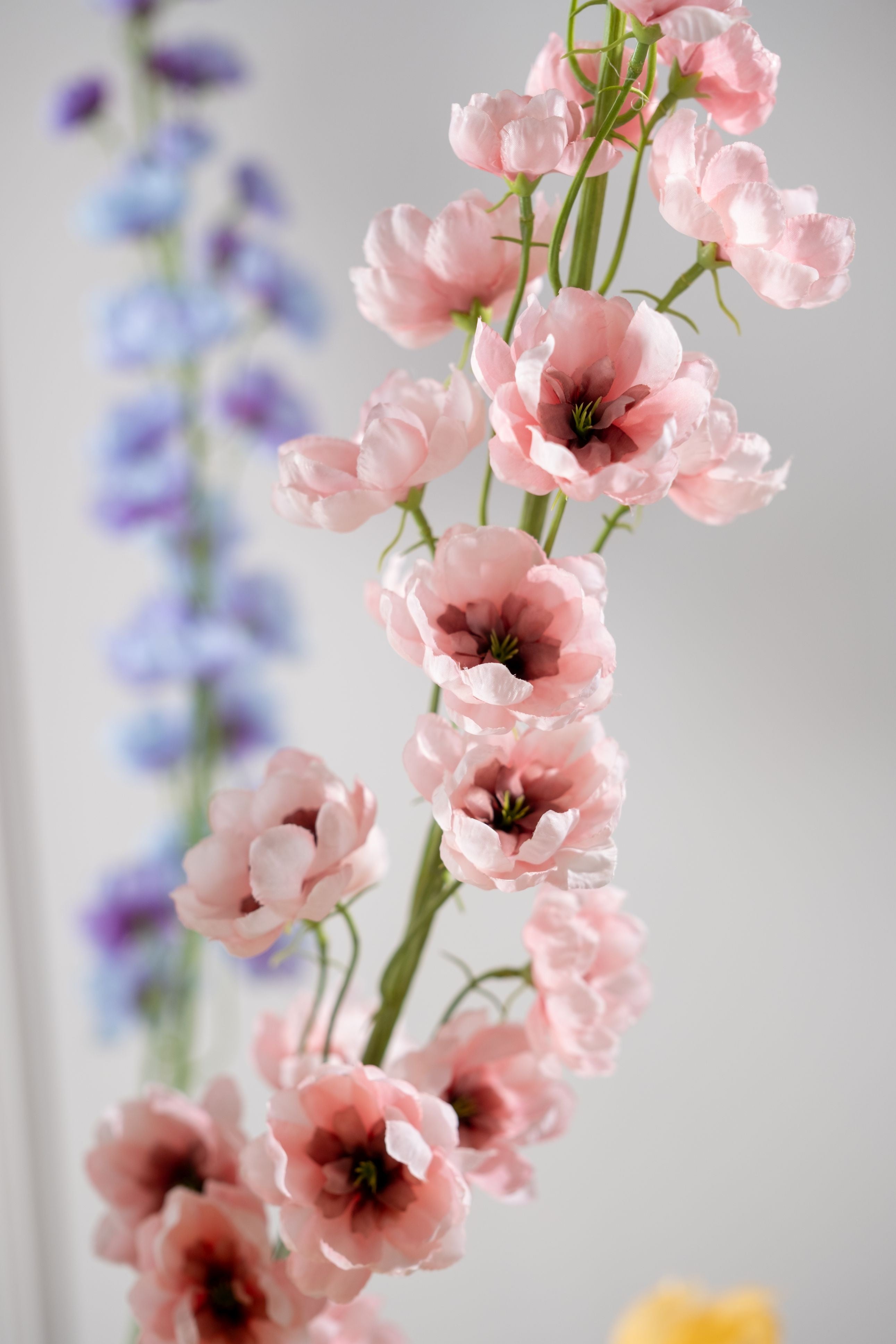Delphinium Steel 127cm (Roze)