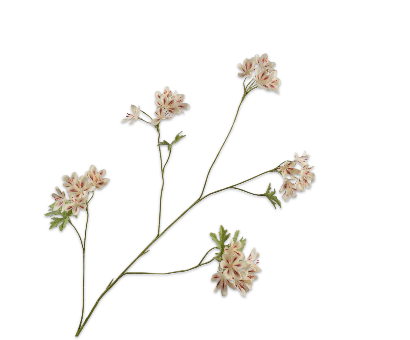 Geranium Tak 94cm (Creme/Bruin)