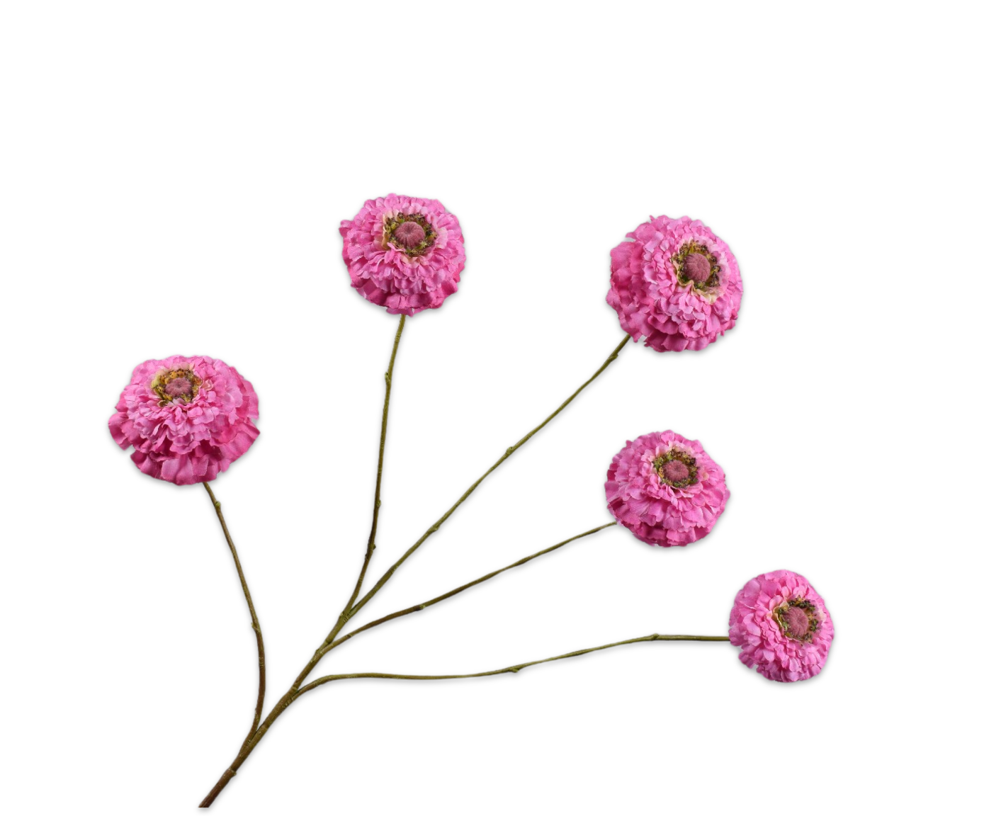 Zinnia Tak 91cm (Lavendel)