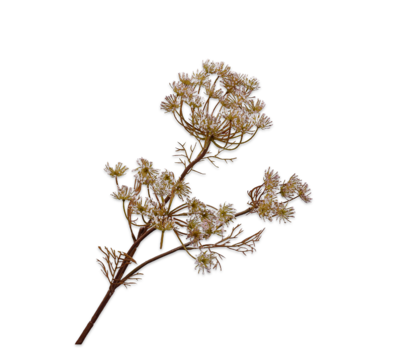 Dille Tak 82cm (Light Roze)