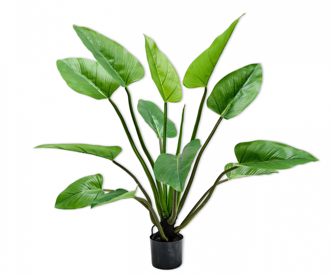 Alocasia 122cm (Groen)