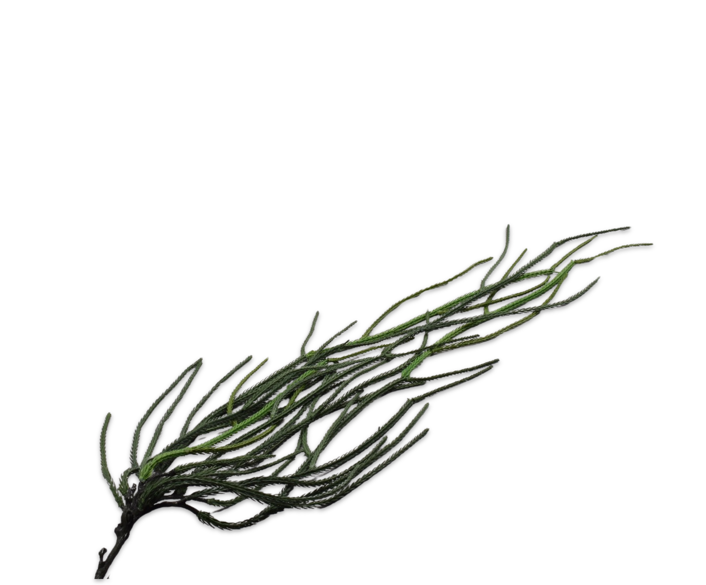 Bladtak 99cm (Groen)
