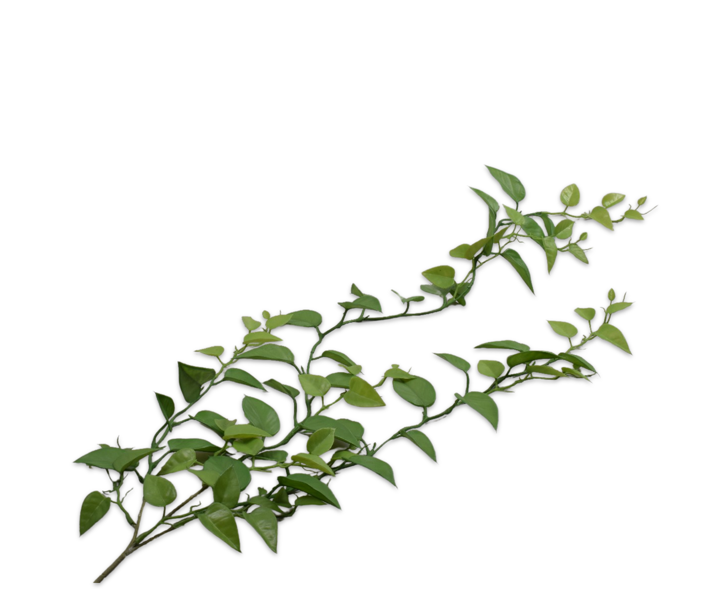 Bladtak Hang 127cm (Groen)