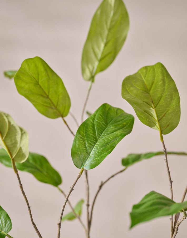 Bladtak Magnolia 96cm (Groen)