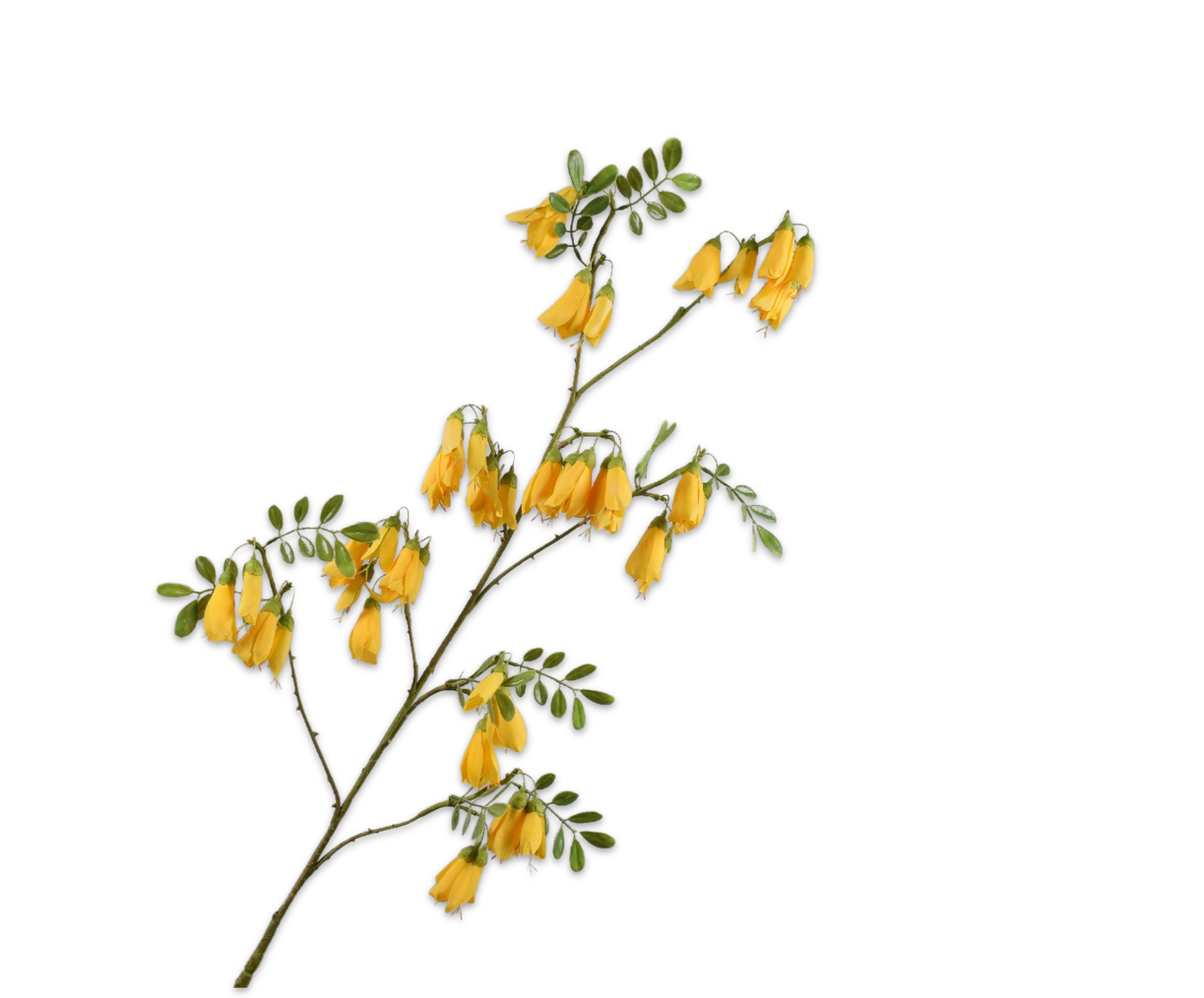 Campanula Tak 118cm (Geel)