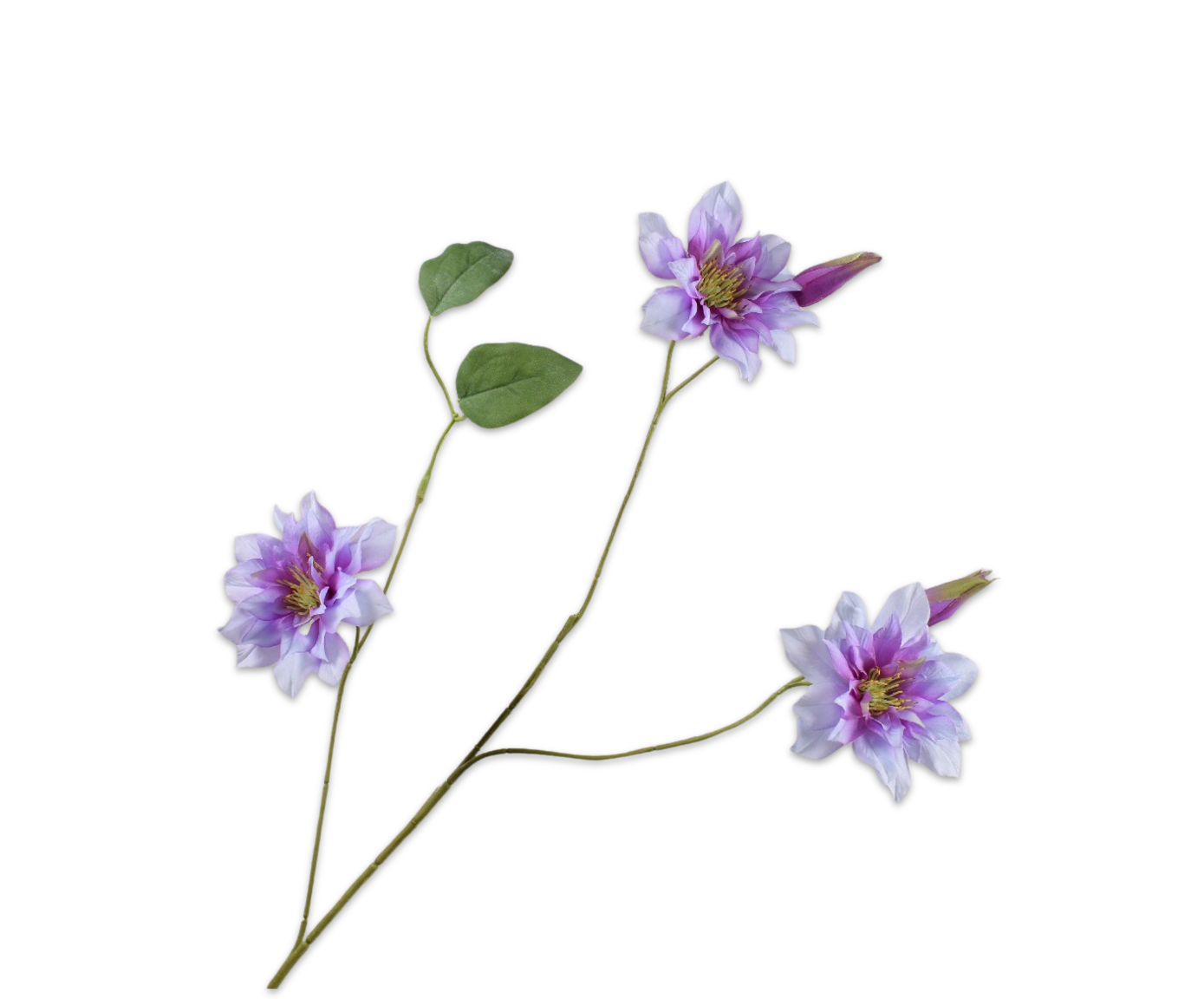 Clematis Tak 98cm (Lavend)