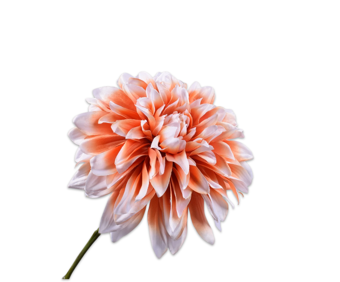 Dahlia Steel 73cm (Perzik)