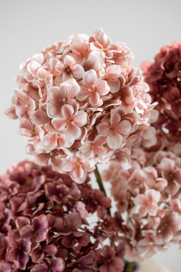 Hortensia Steel 50cm (Mauve)