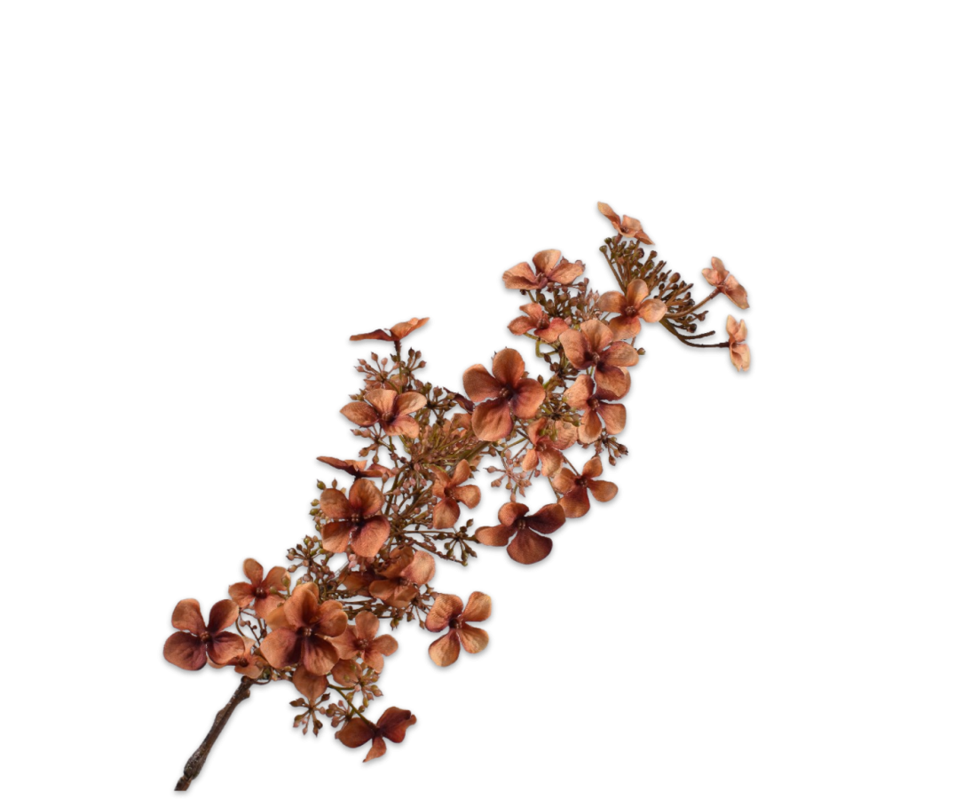Hortensia Steel 89cm (Bruin)