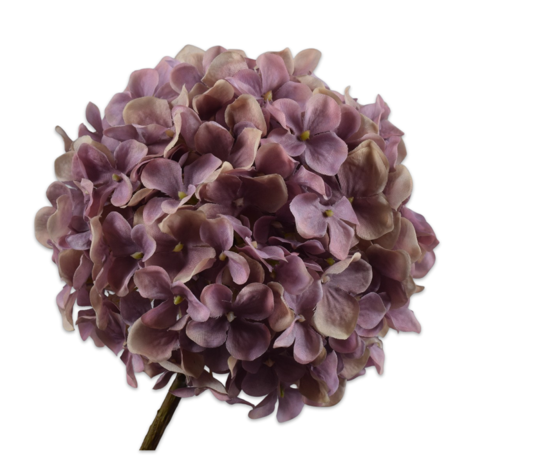 Hortensia Steel 70cm (Lavendel)