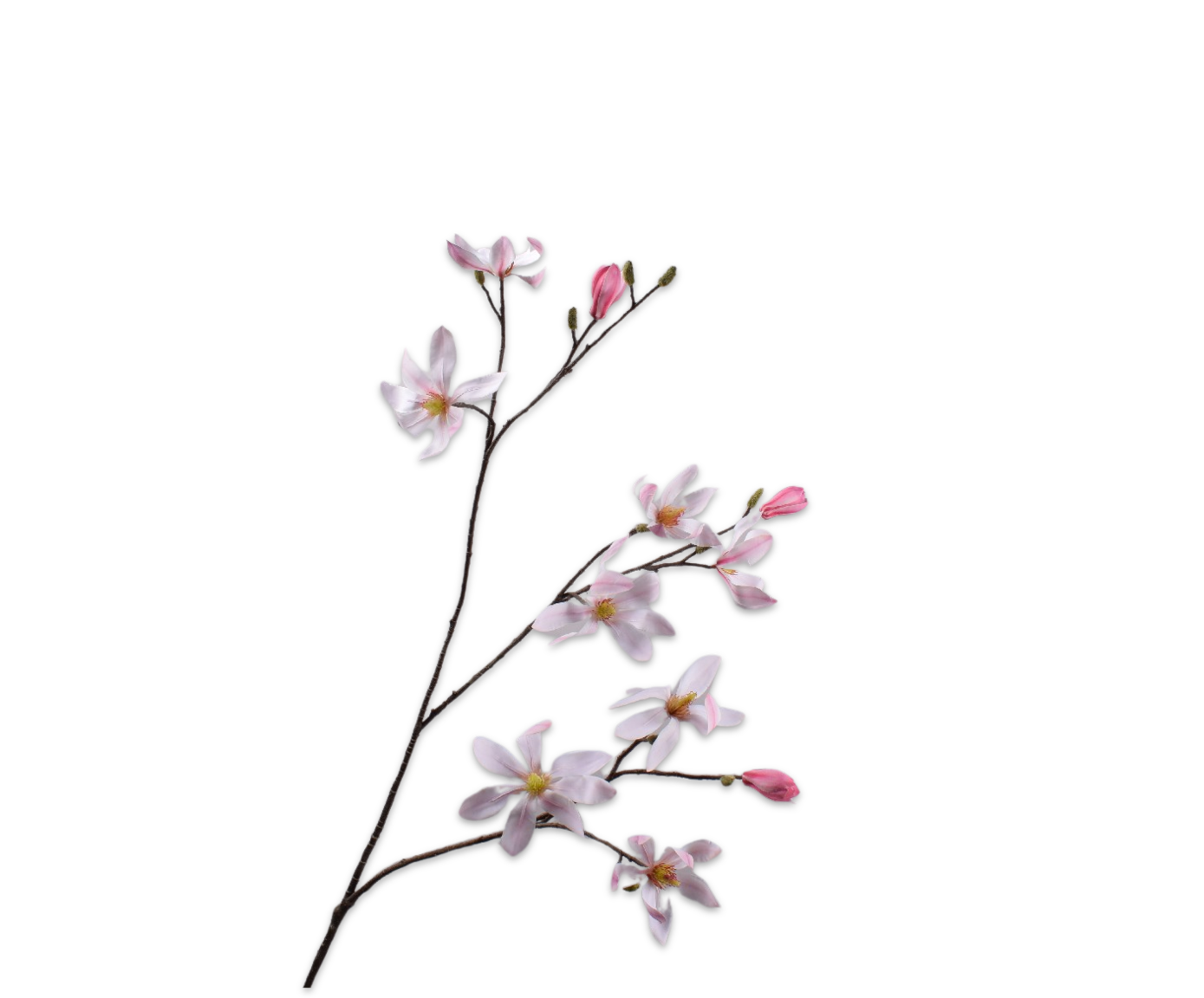 Magnolia Tak 96cm (Licht Roze)