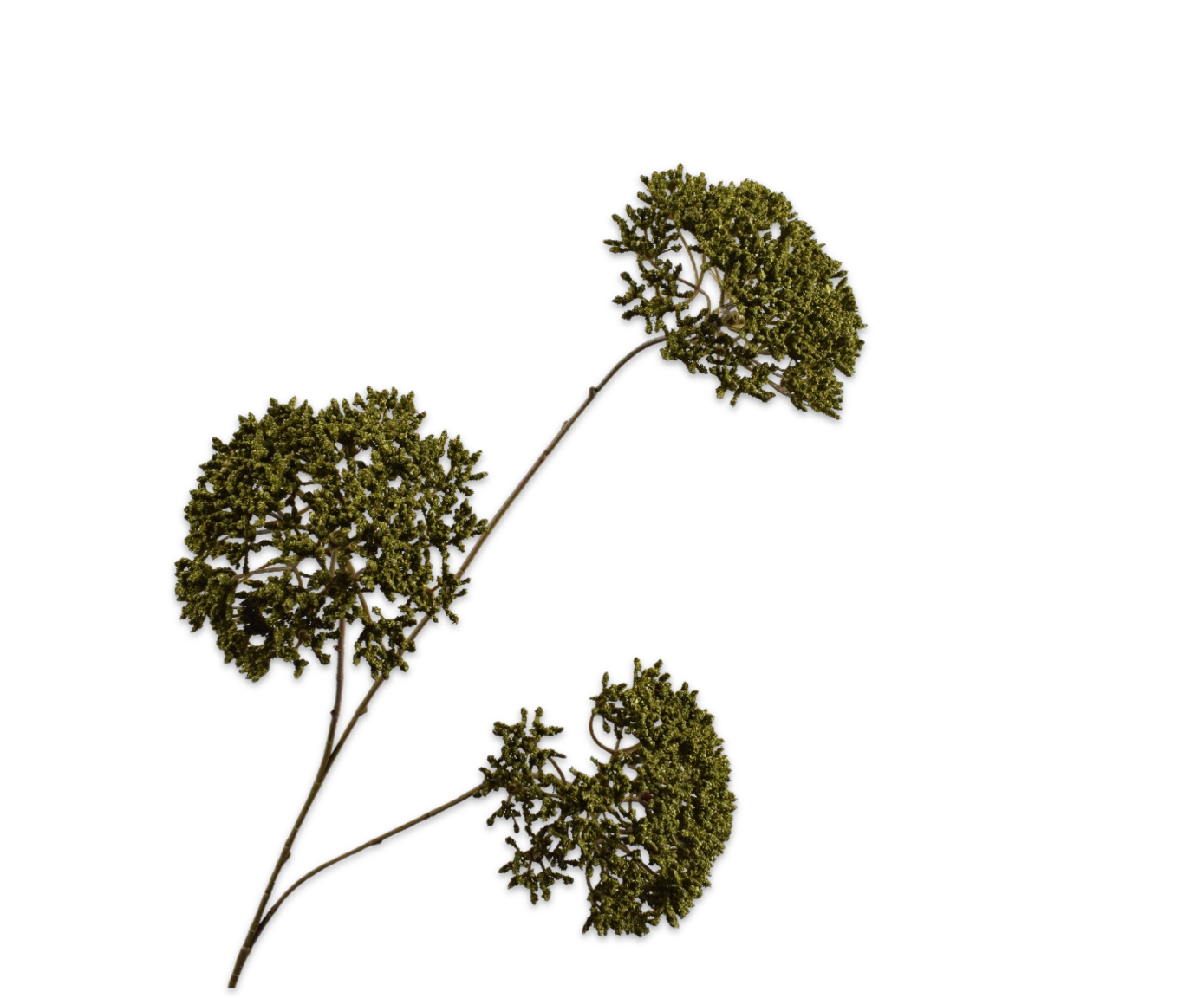 Trachelium Tak 85cm (Groen)