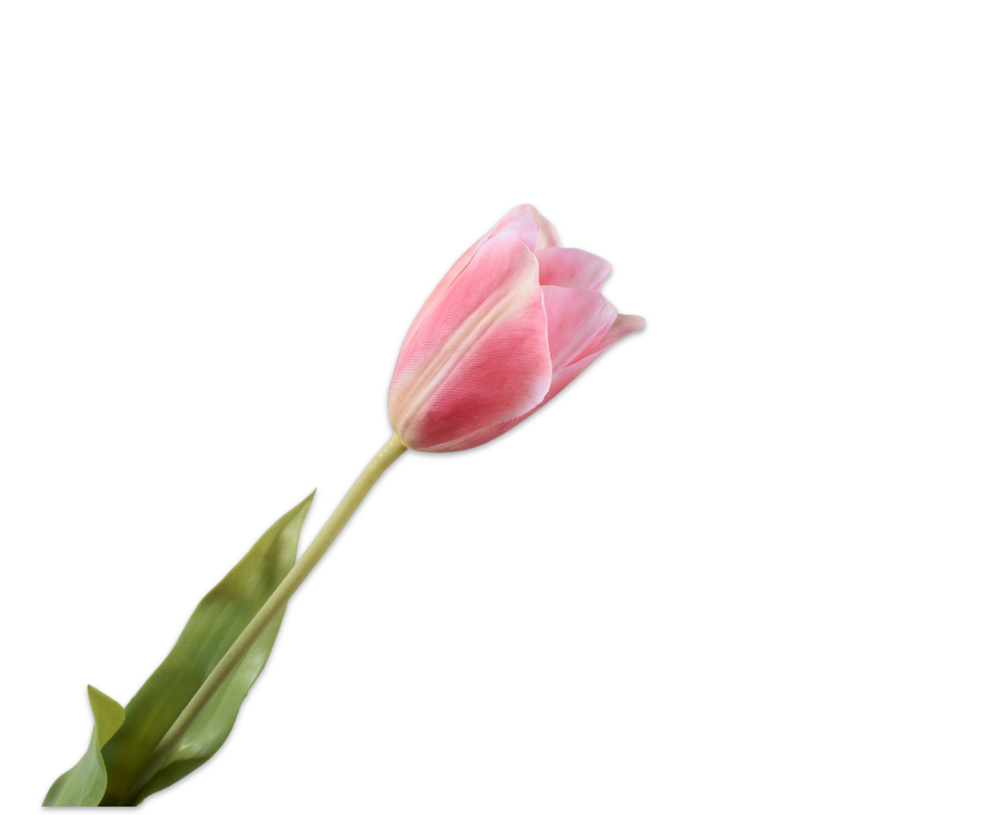 Tulp Steel 72cm (Roze)