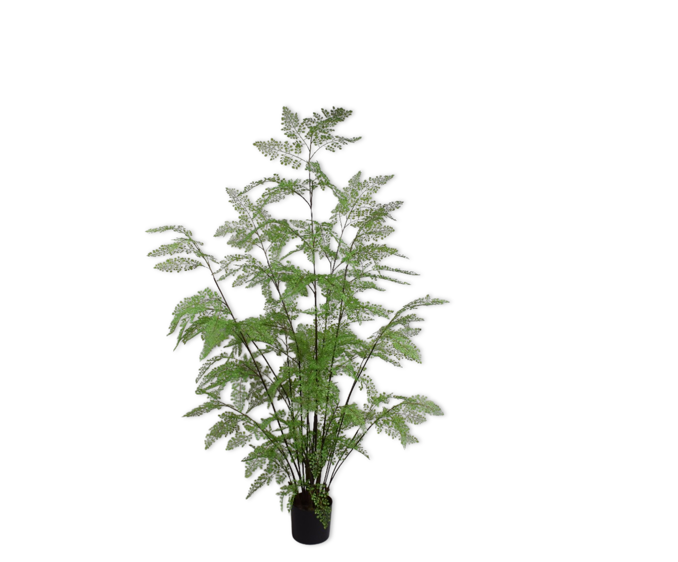 Varen 180cm (Groen)