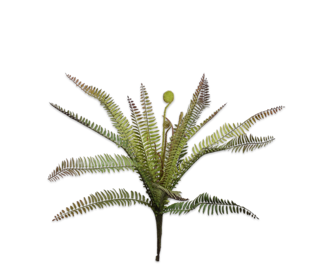 Varen Bush 57cm (Groen)
