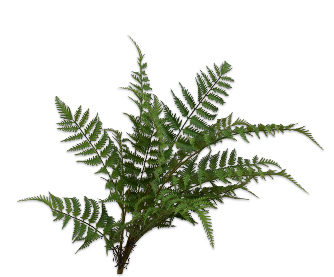 Varen Bush 76cm (Groen)